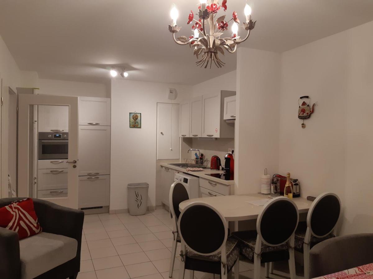Ferienwohnung Le Carre Des Fleurs Straßburg Exterior foto